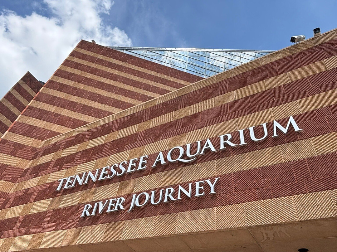 田纳西水族馆-查塔努加必去景点