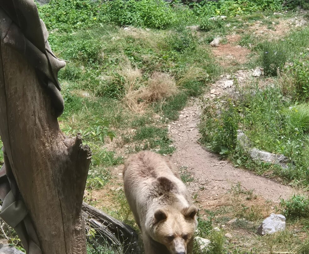 Zoo Ljubljana-卢布尔雅那必去景点