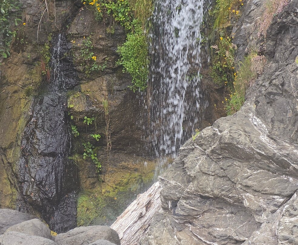Secret Beach-布鲁金斯必去景点