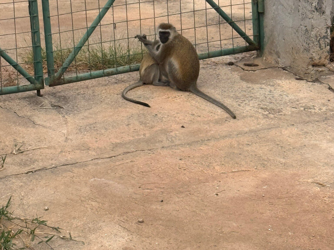 Gattokko - Safari e Tours in Kenya-瓦塔木必去景点