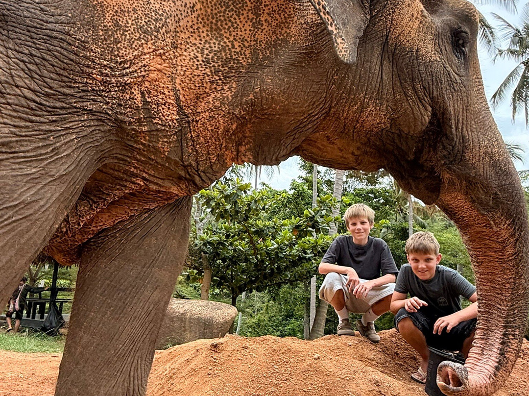 Samui Elephant Sanctuary-波普特必去景点
