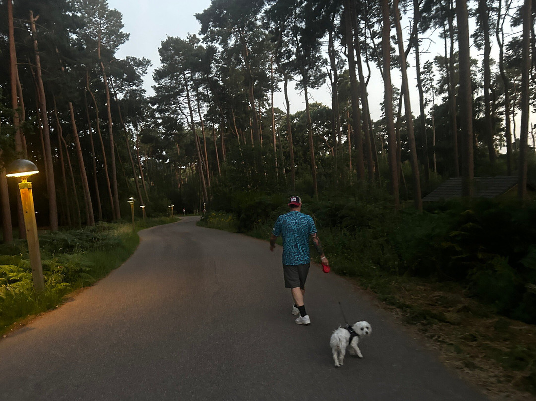 Center Parcs Woburn Forest主图