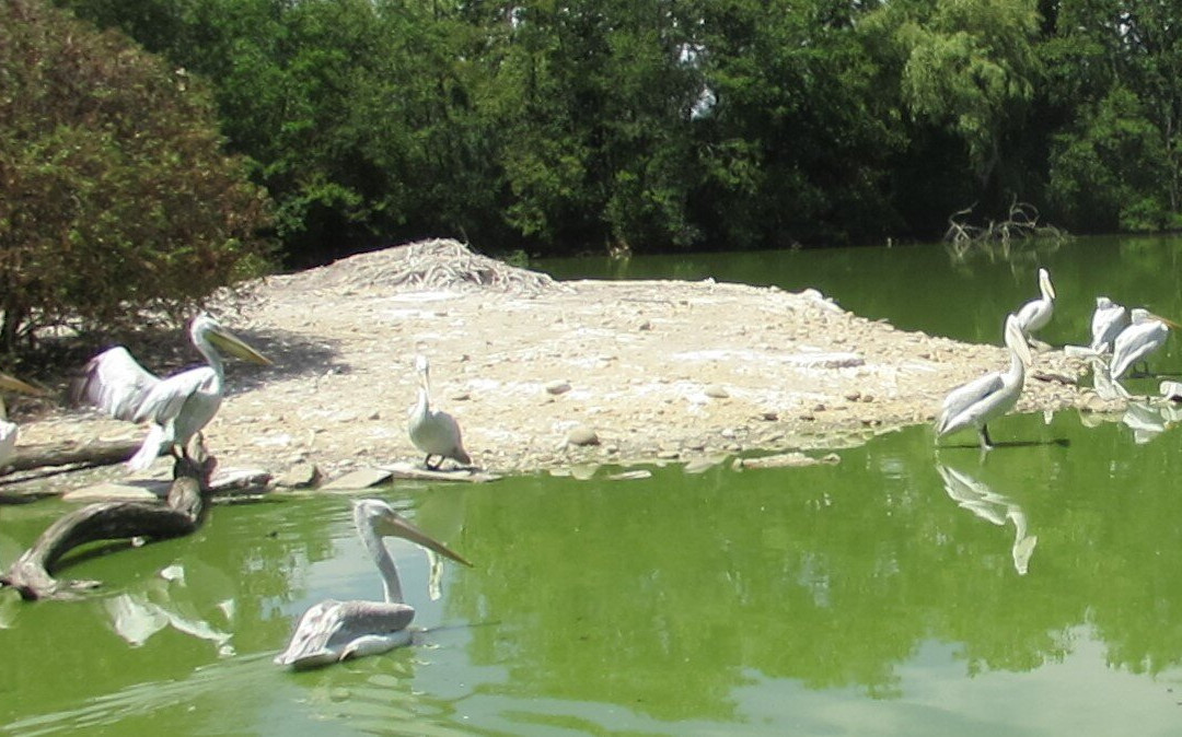 Parc Des Oiseaux-Villars-les-Dombes必去景点
