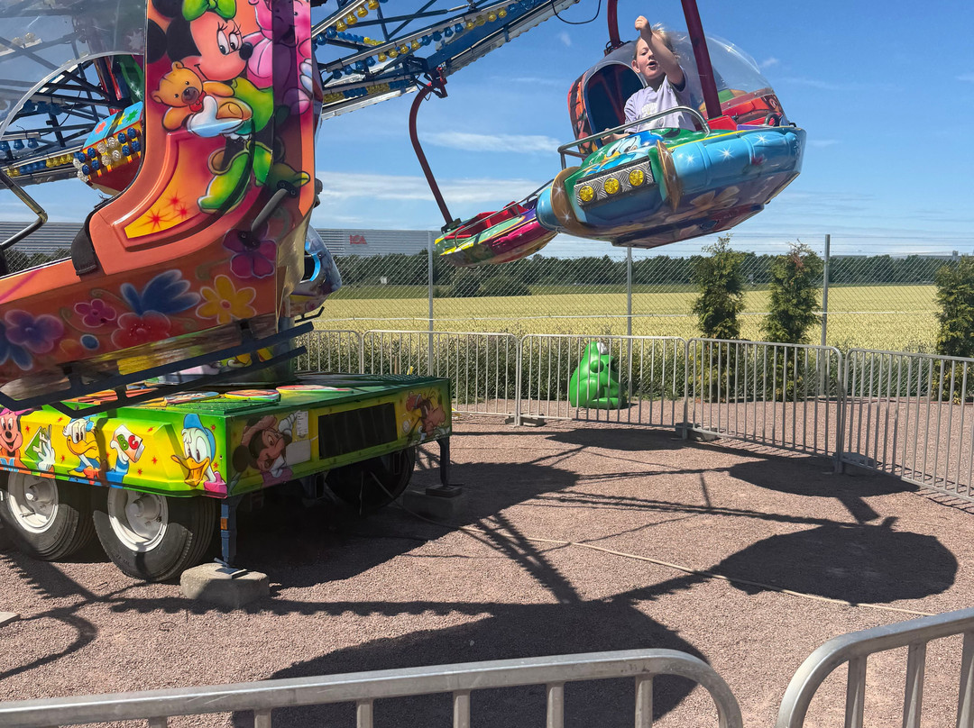 Djurparken i Helsingborg-赫尔辛堡必去景点