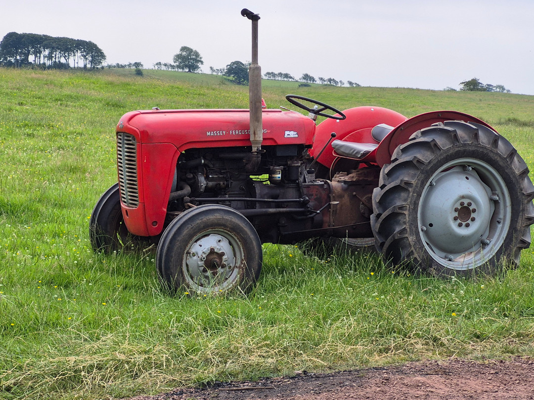 Real Farm Driving-Dalton必去景点