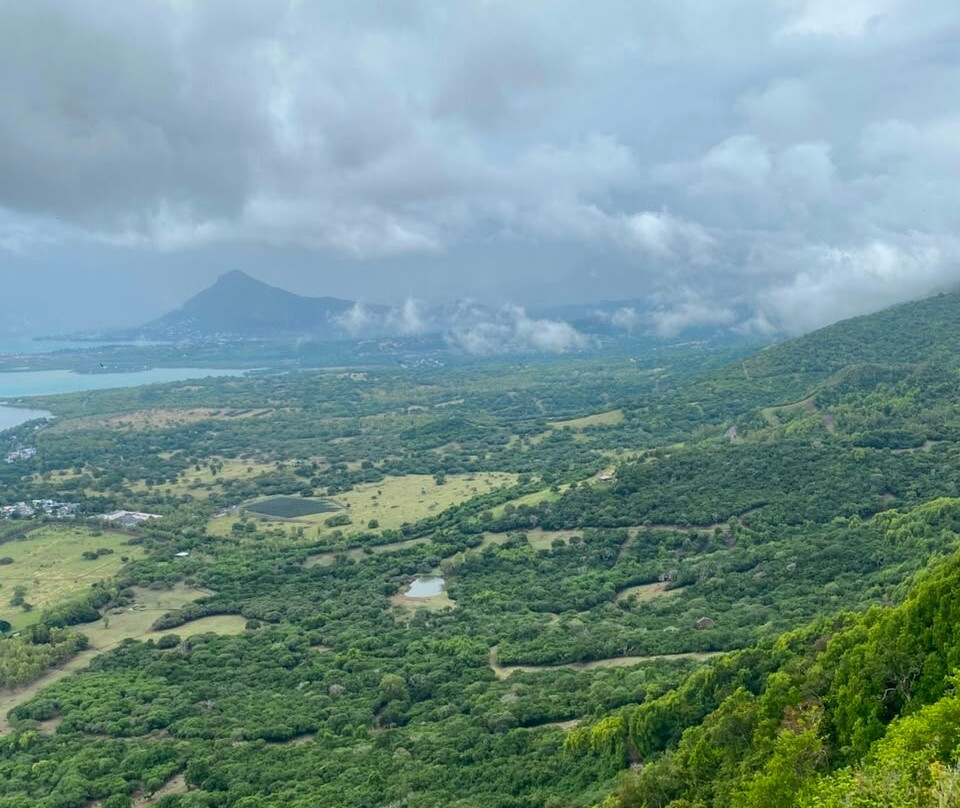 Ebony Forest Reserve-沙马雷勒必去景点