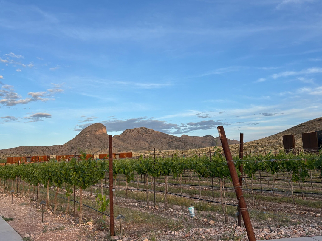 Los Milics Vineyards-Elgin必去景点
