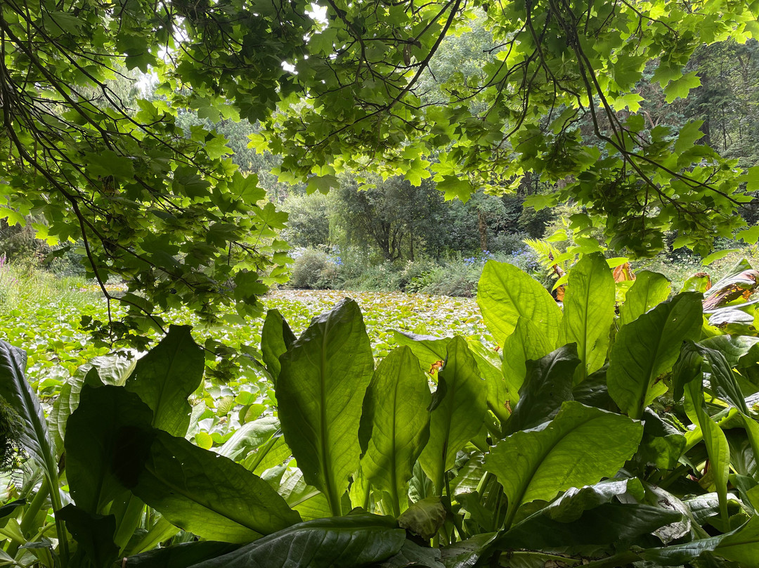 Tapeley Park Gardens-Instow必去景点