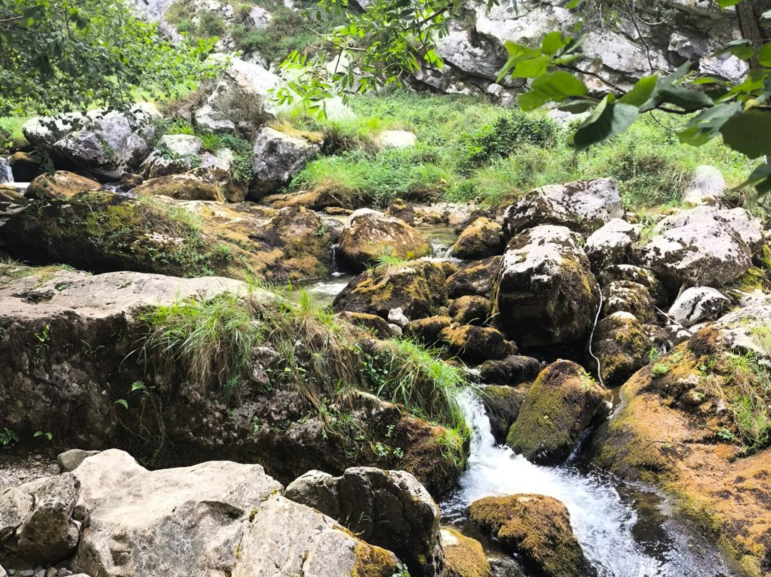 Canal del Texu-Cabrales Municipality必去景点