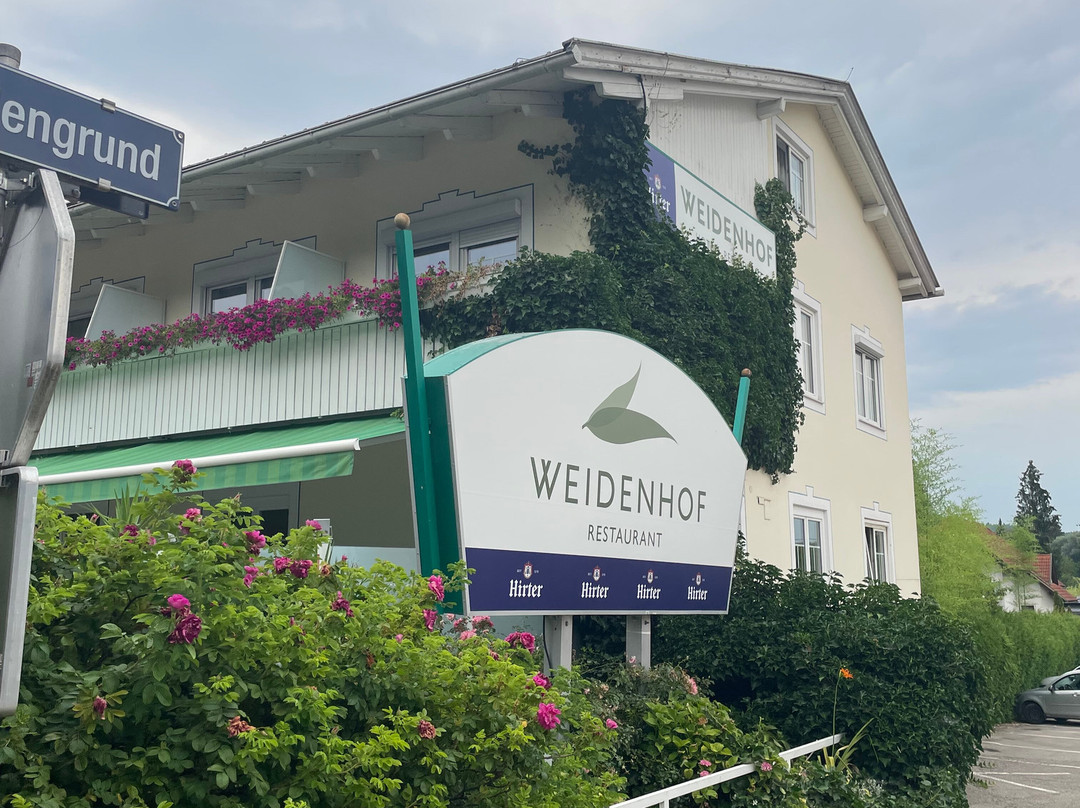 Hotel Weidenhof主图
