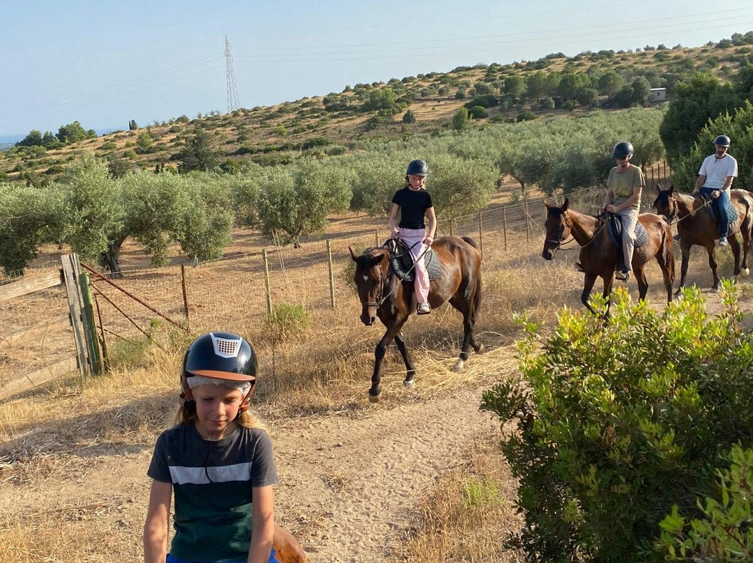 Centro Equestre Mirmex Asd-Quartucciu必去景点