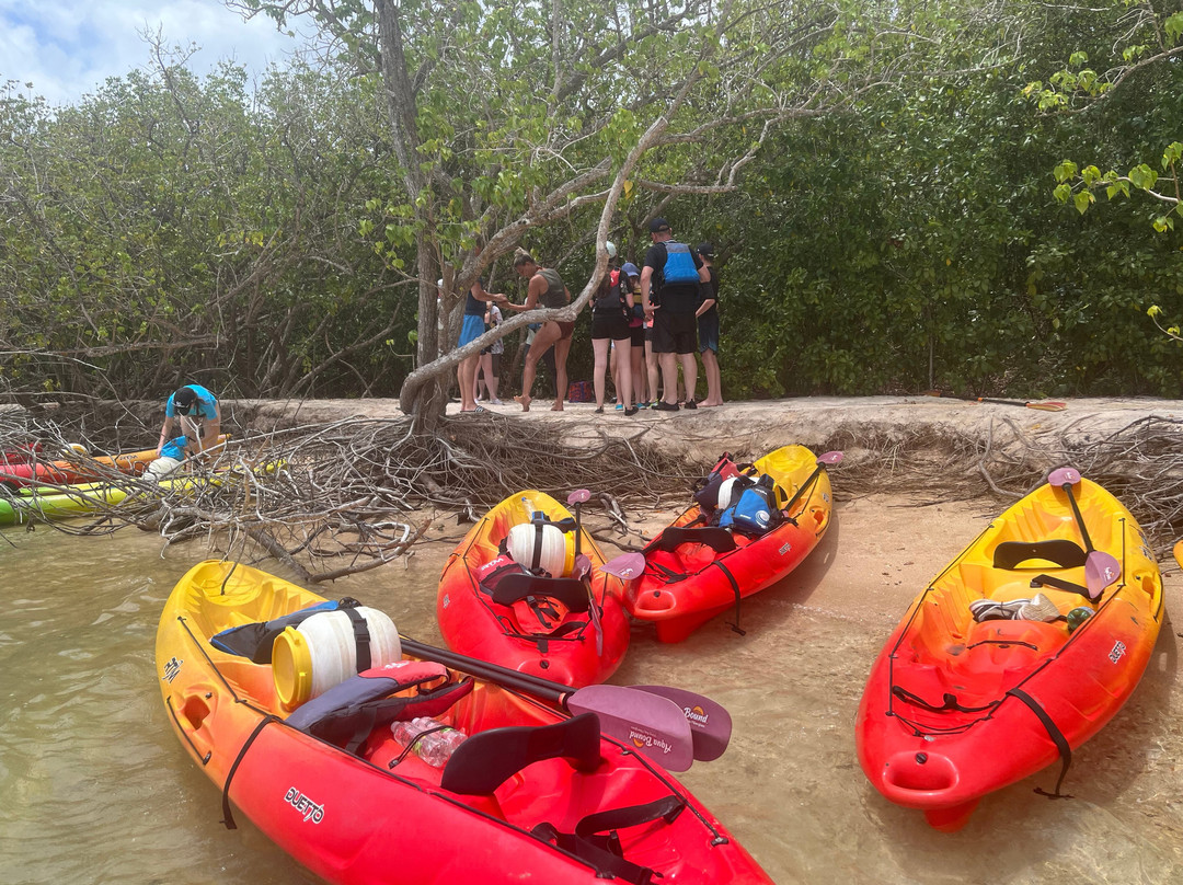 TI-Evasion Kayak de mer en Guadeloupe-Pointe-a-Pitre必去景点