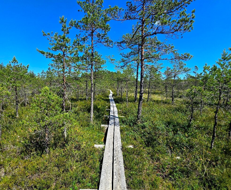 Viru Bog Trail-Kolga必去景点