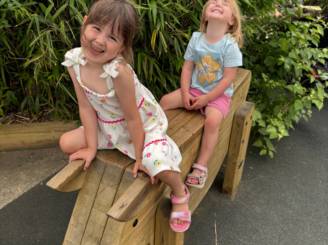 Colchester Zoo-科尔切斯特必去景点