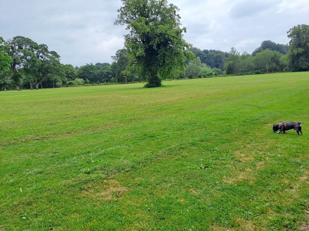 Witton Country Park-布莱克本必去景点