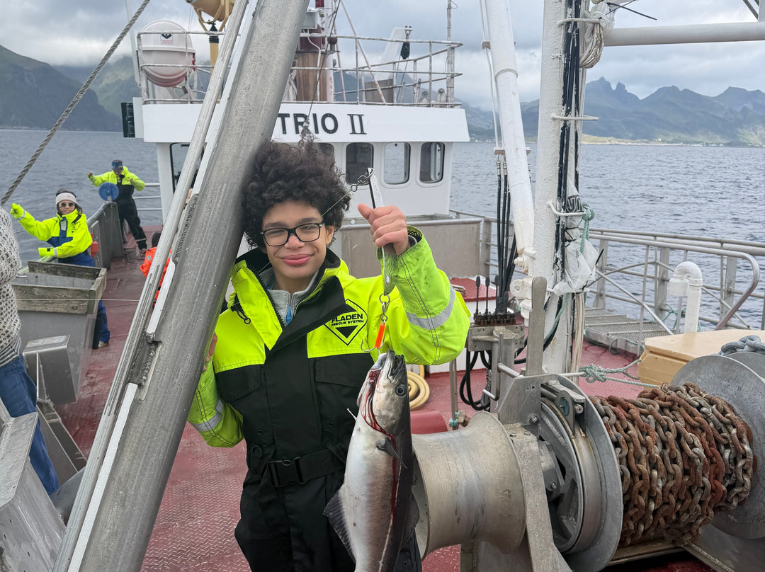 REEL Fishing And RIB Safaries-雷讷必去景点