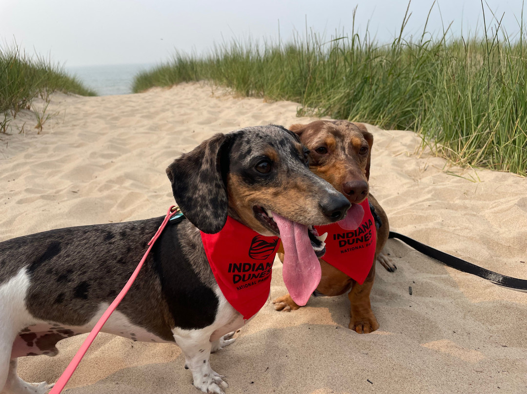 Indiana Dunes National Park-Porter必去景点