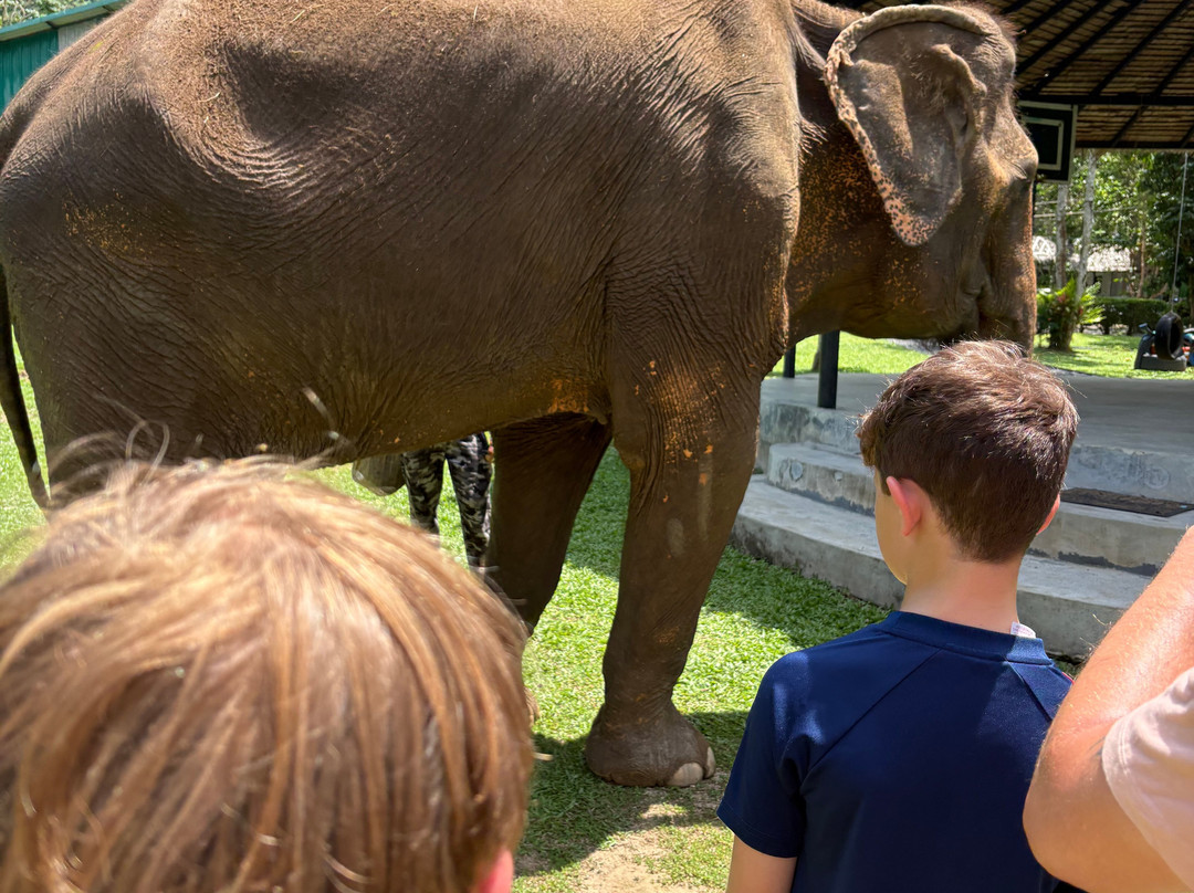 Phuket Elephant Nature Reserve-他朗必去景点