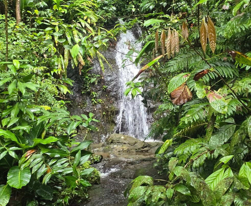 Tundo Tours-Bahia Solano必去景点