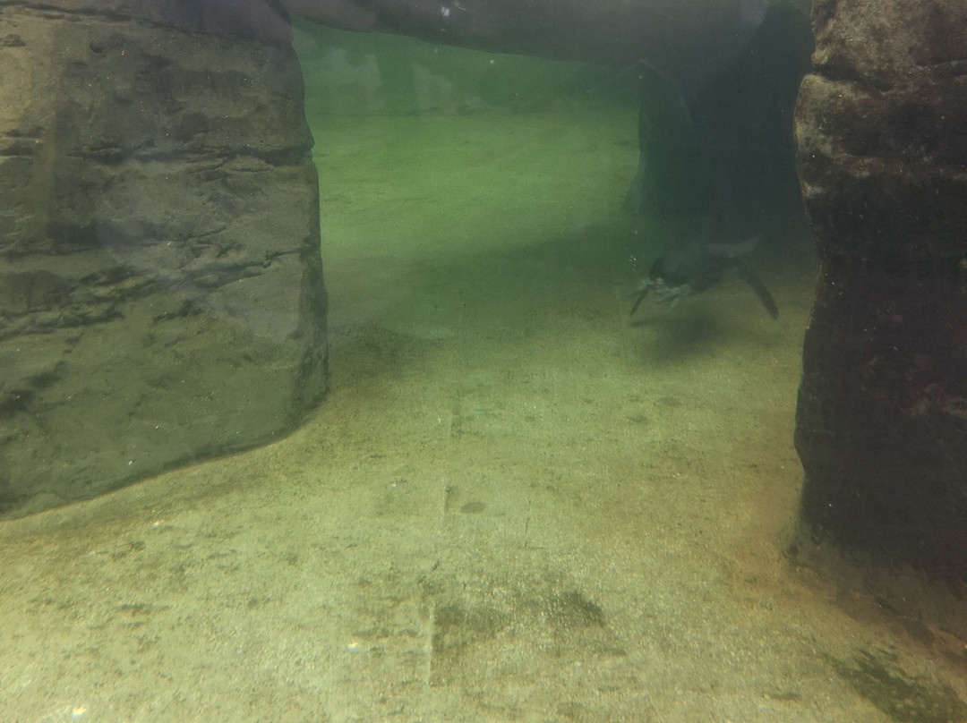 Sea Life Scarborough-斯卡伯勒必去景点