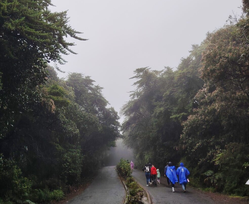 Poas Volcano-Poas Volcano National Park必去景点