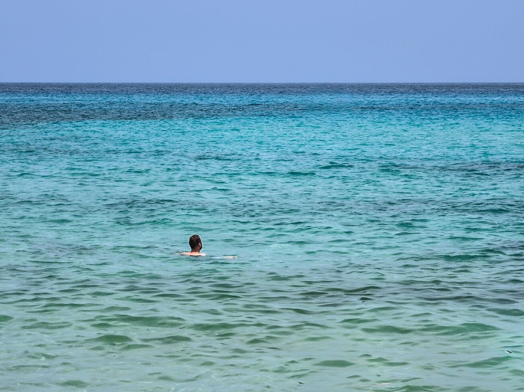 Cala Mitjana-Arta必去景点