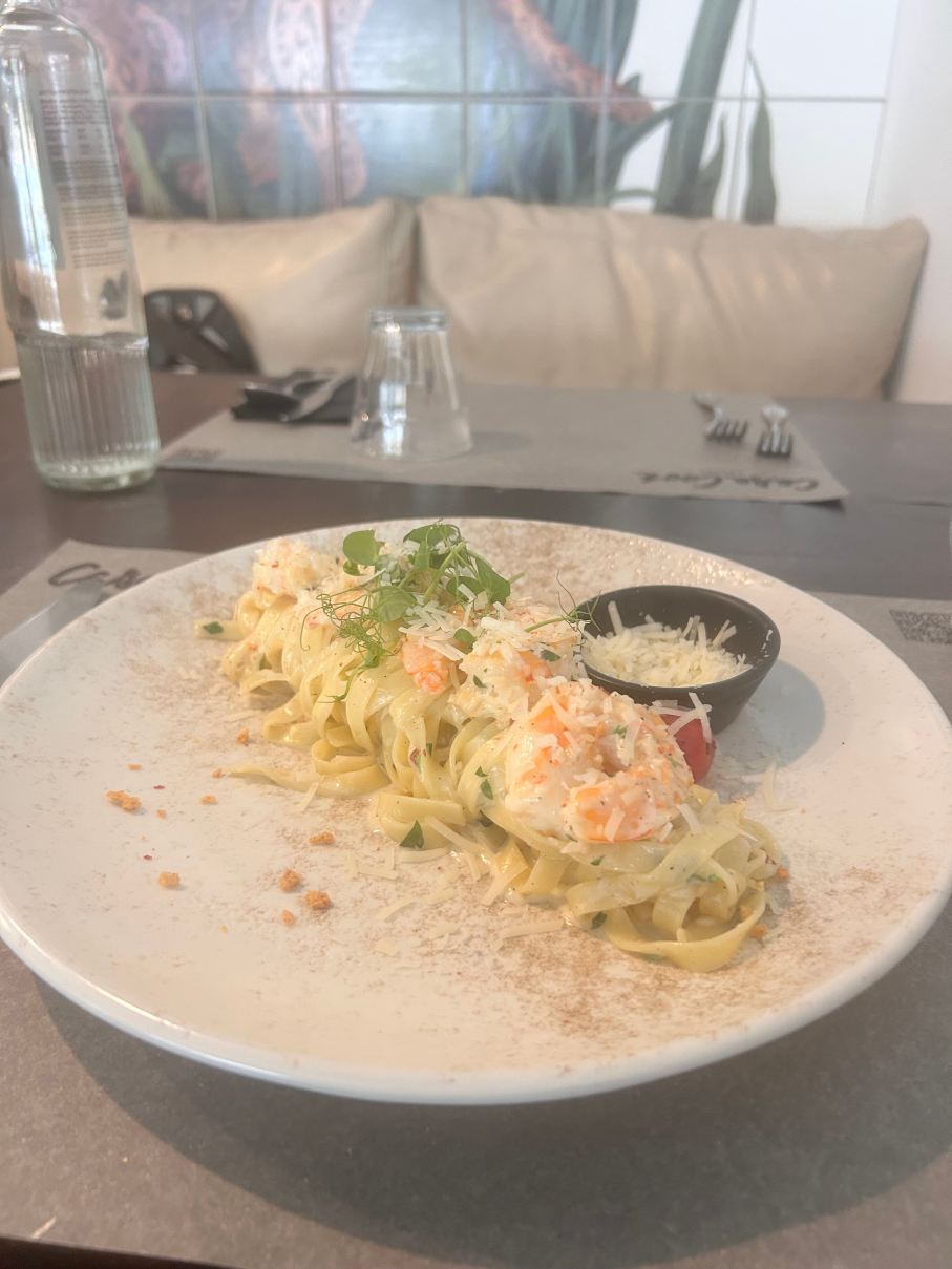 罗得岛库克酒店-限成人-旅行者