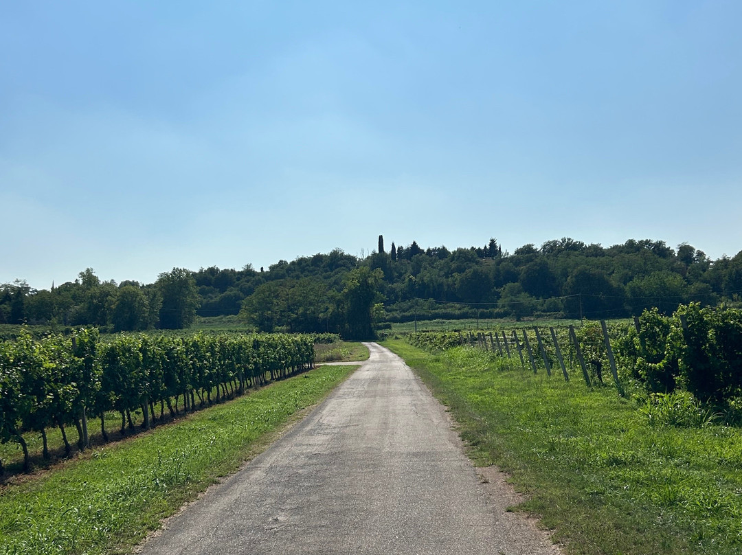 Agriturismo Corte Zenati主图