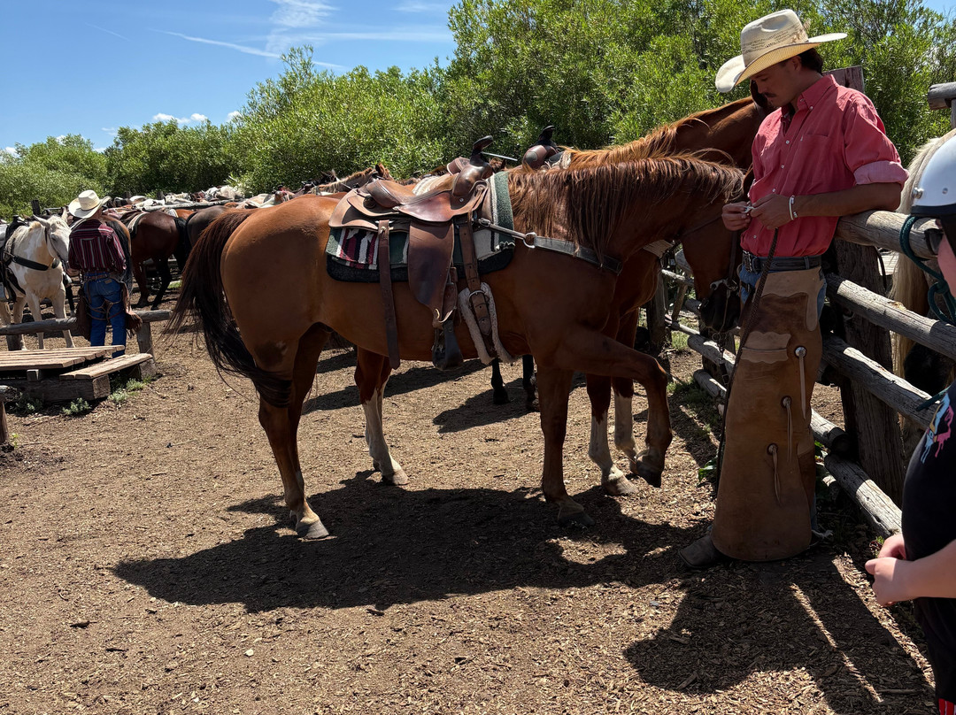 Yellowstone Horses - Eagle Ridge Ranch-艾兰帕克必去景点