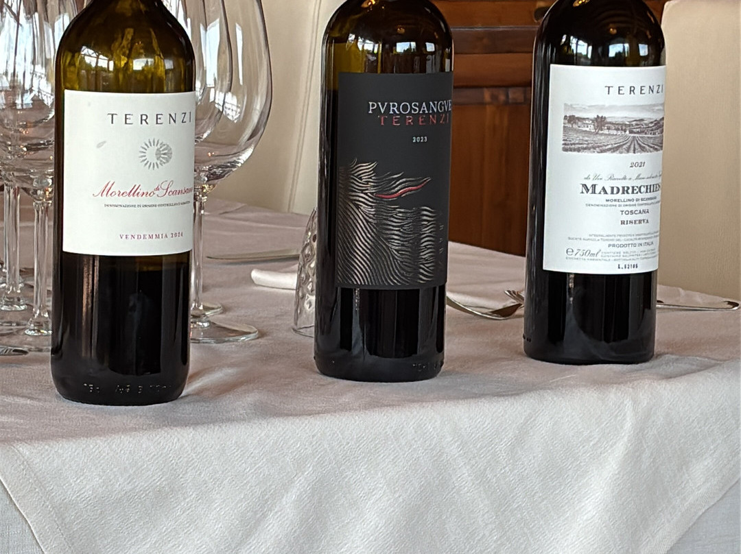 Terenzi Winery-Scansano必去景点