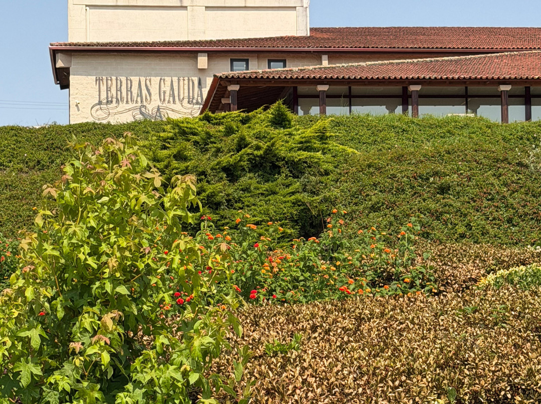 Bodegas Terras Gauda-O Rosal必去景点