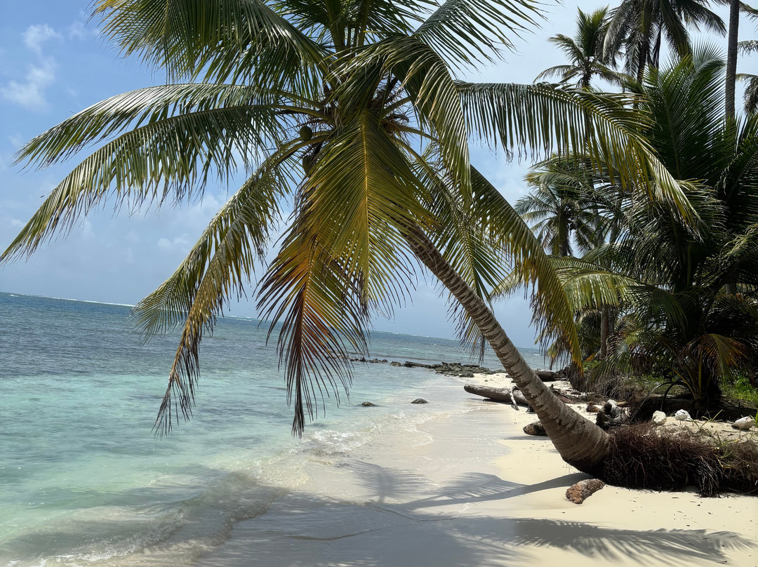 Quest Ocean Expeditions-Puerto Lindo必去景点