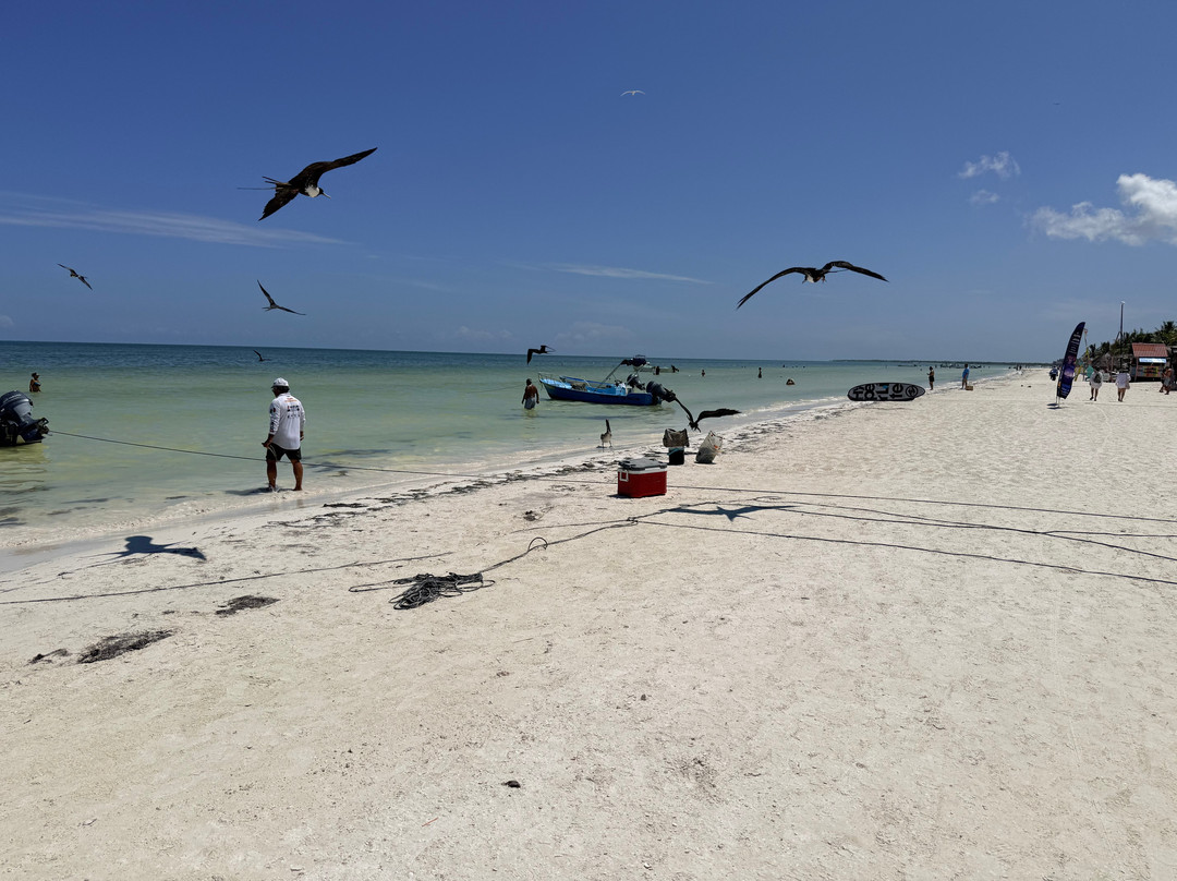 Isla de Holbox-Holbox Island必去景点