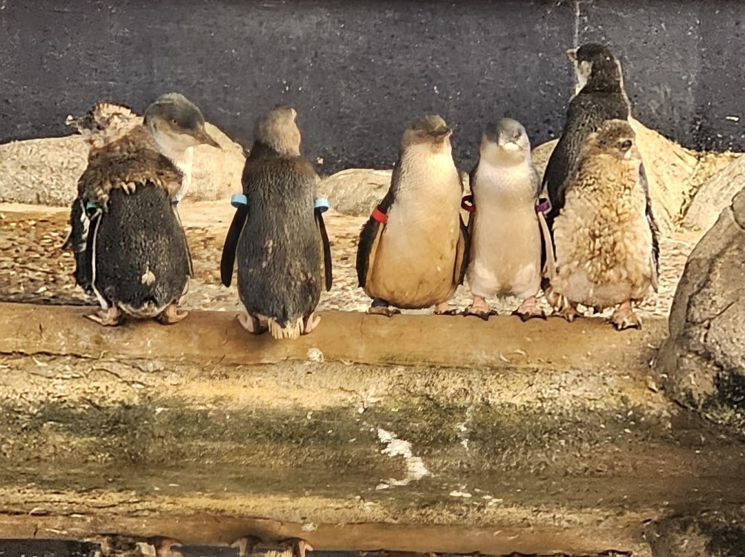 Weymouth SEA LIFE Adventure Park-韦茅斯必去景点