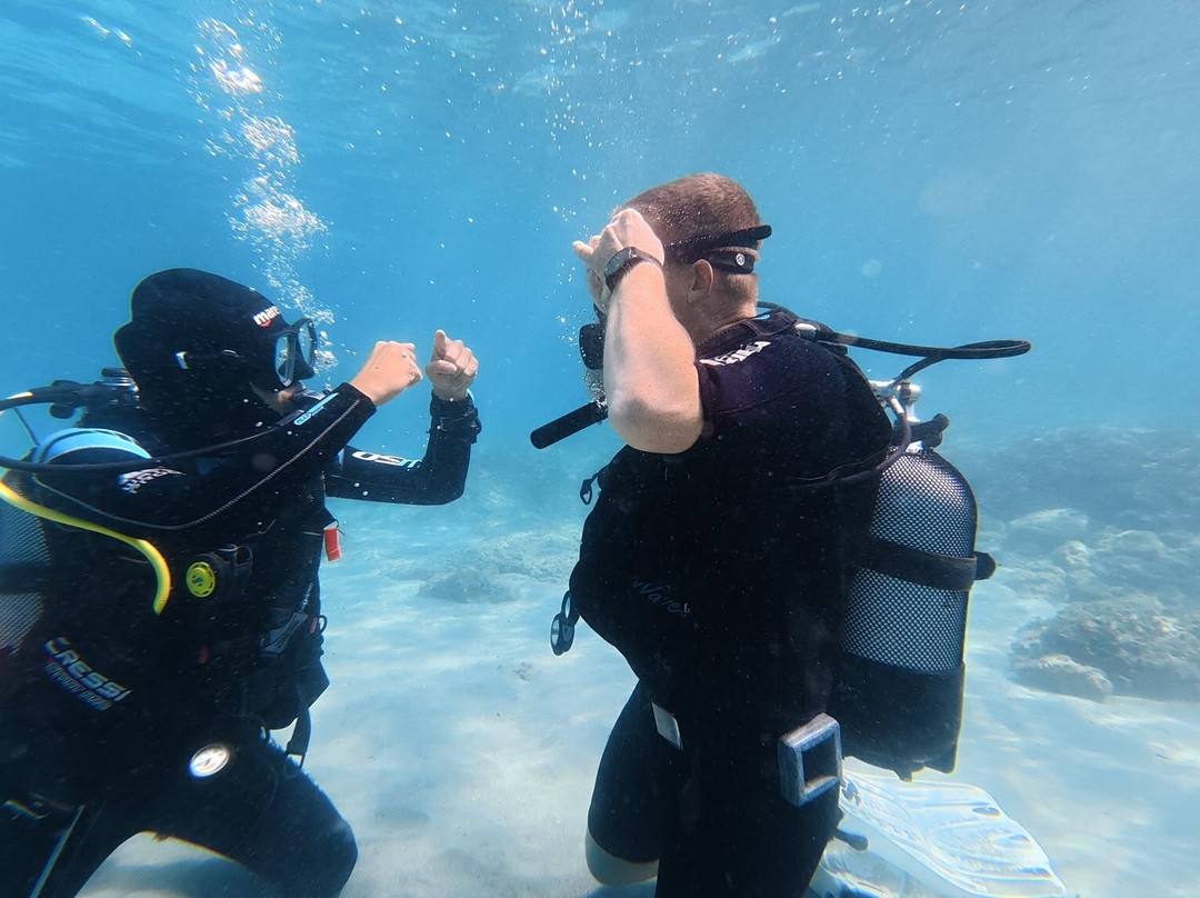 Starfish Diving Center-弗萨必去景点