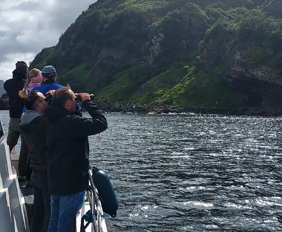 Stardust Boat Trips Portree-Portree必去景点
