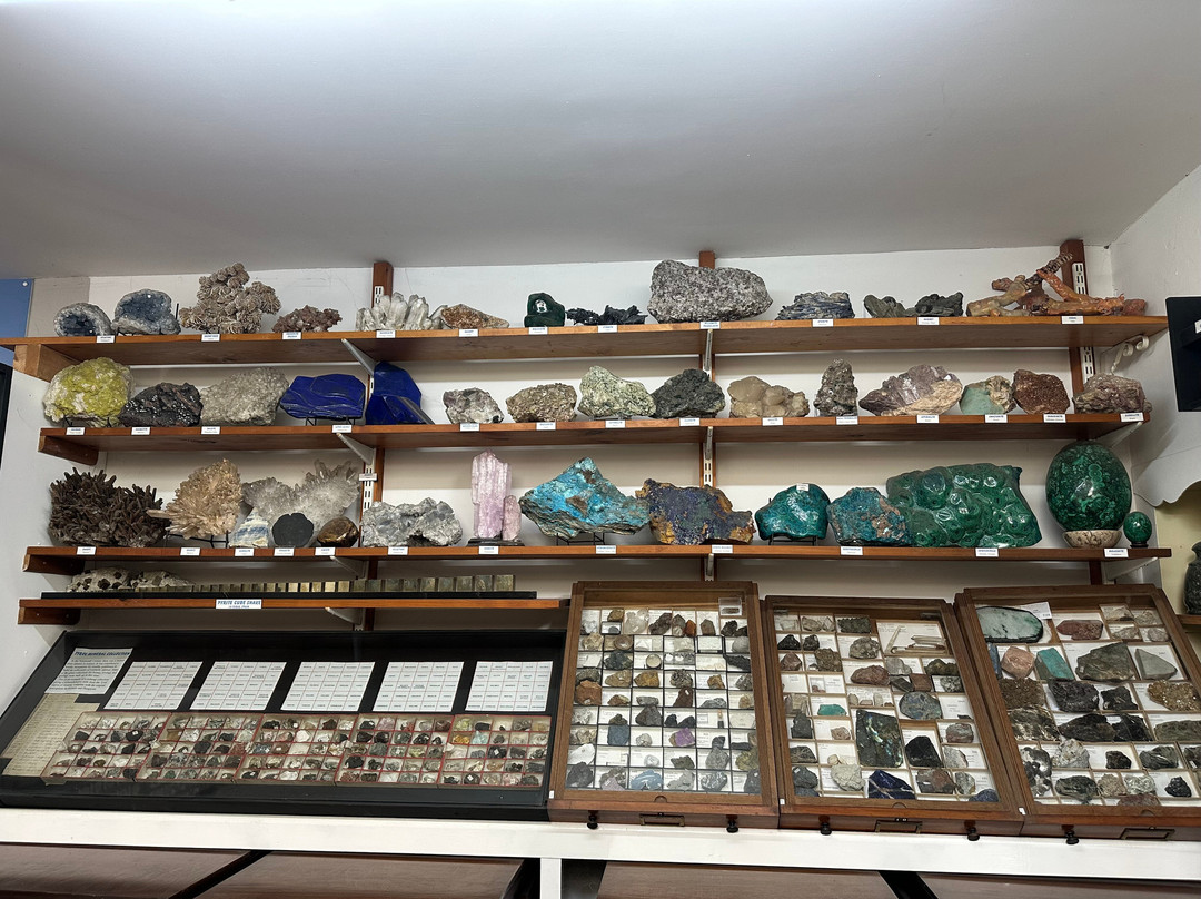 Dinosaurland Fossil Museum-莱姆里杰斯必去景点