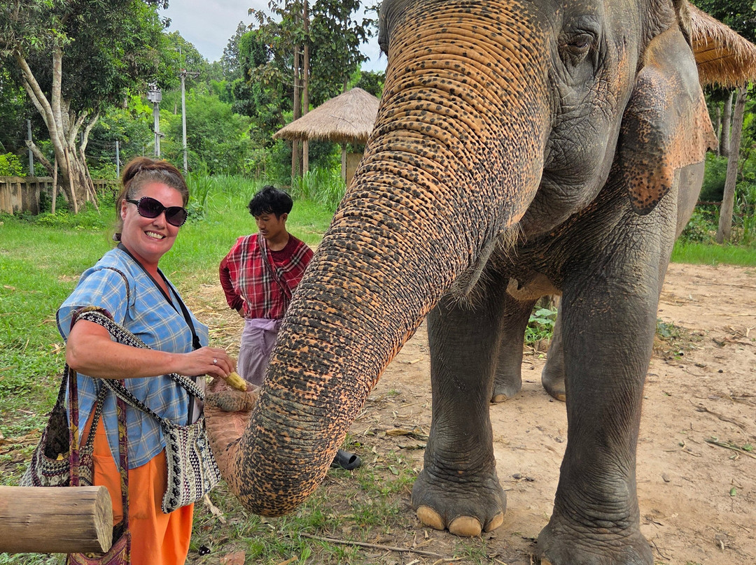 Maerim Elephant Sanctuary-夜林必去景点