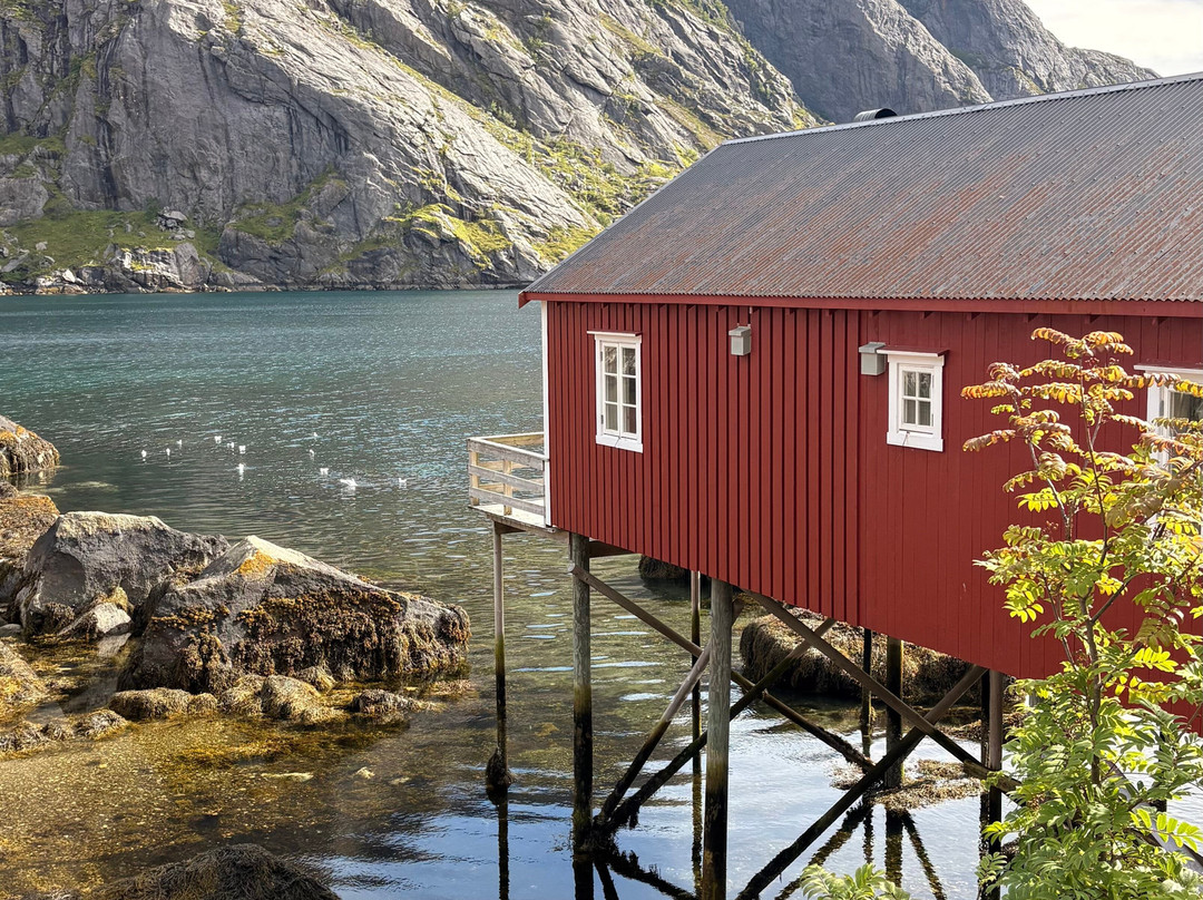 Nusfjord Fishing Village-Nusfjord必去景点