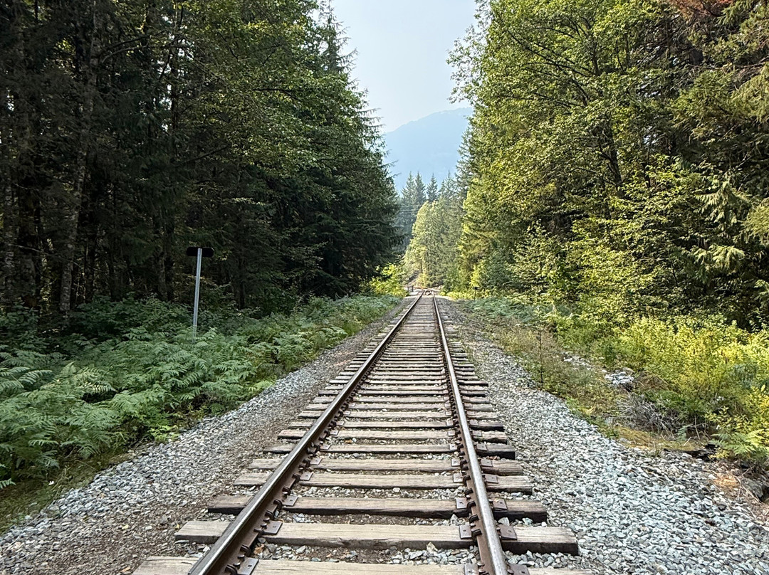 Brandywine Falls Provincial Park-惠斯勒必去景点