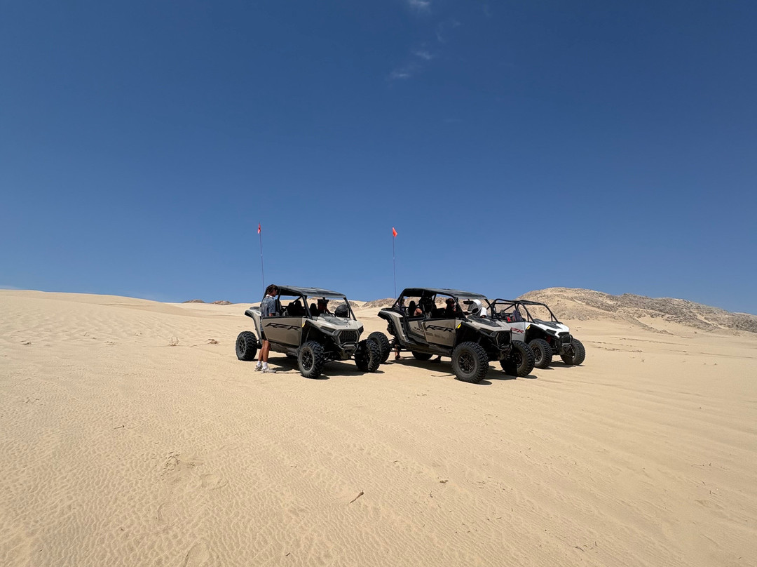 San Diego Dune Tours-Ocotillo必去景点