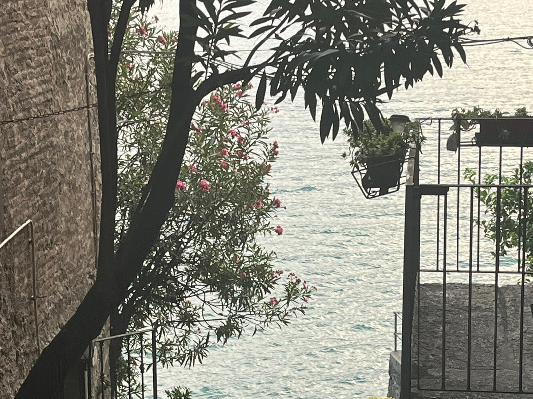 Corenno Plinio-Dervio必去景点