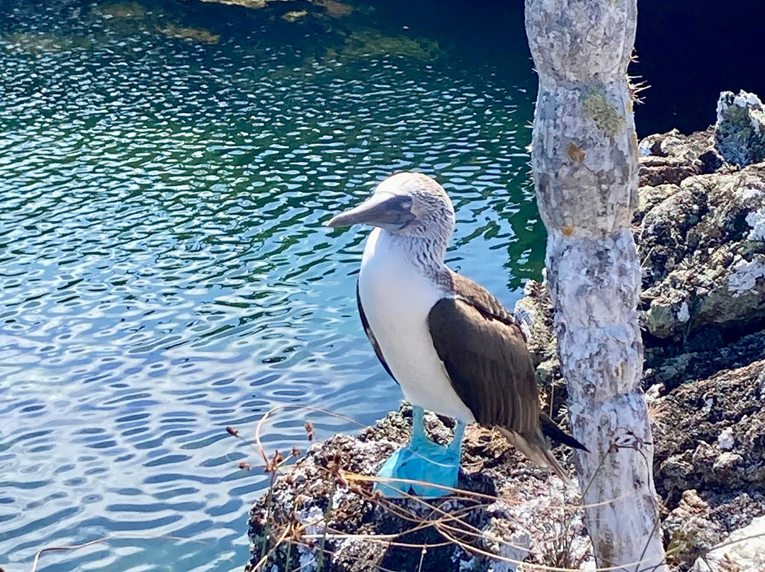 Living Ecuador Travel-Patate必去景点