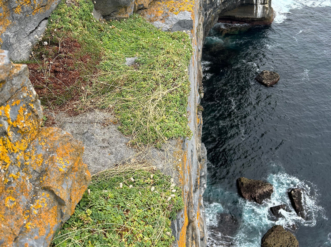 敦安古斯城堡-Inishmore必去景点