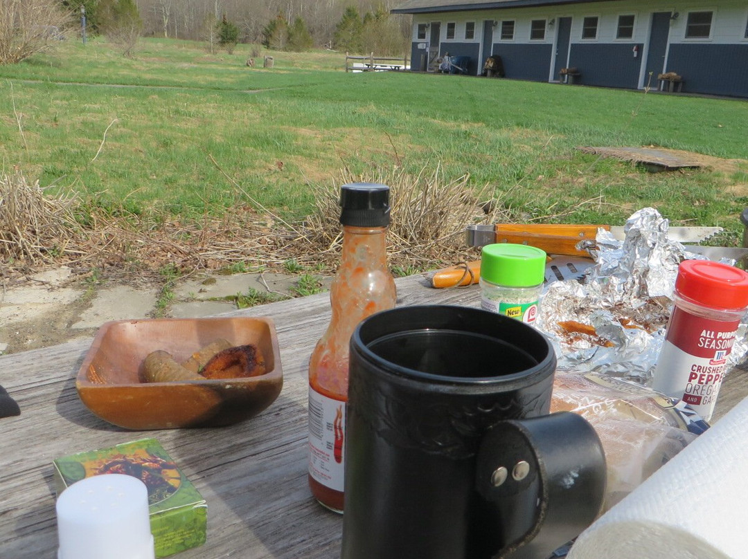 Spruceton Inn - a Catskills Bed and Bar主图