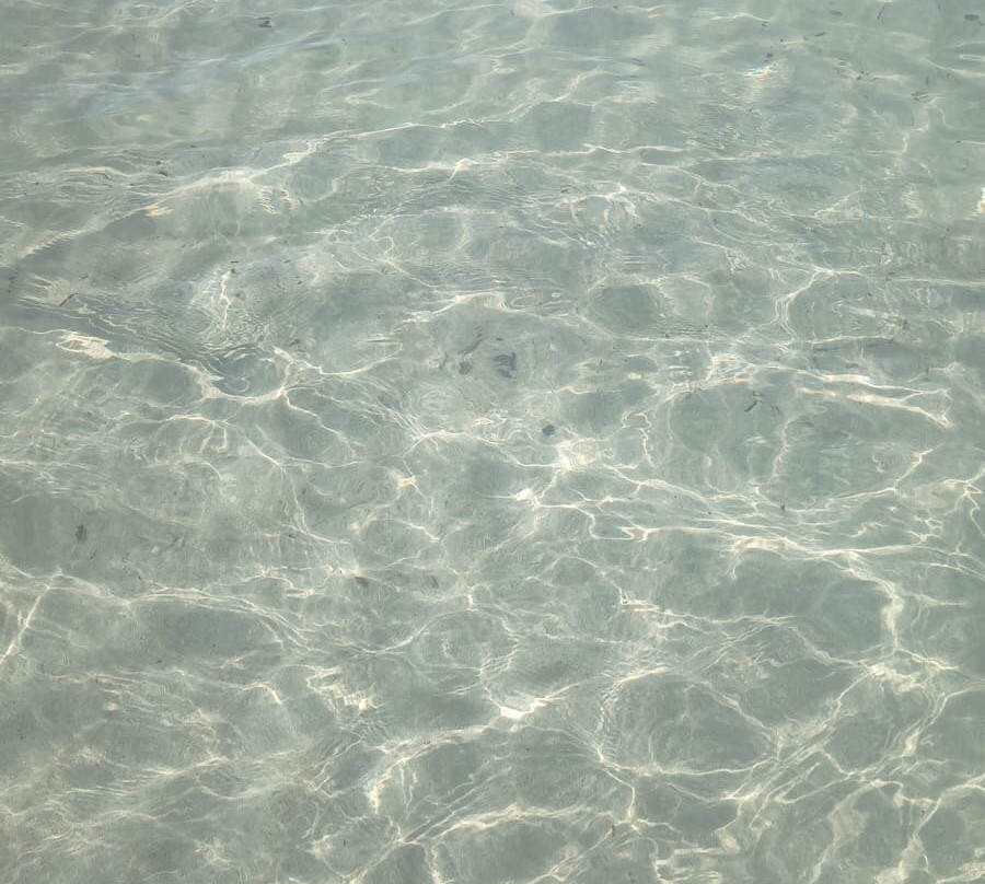 Spiaggia di Tonnarella-马扎拉－德尔瓦洛必去景点