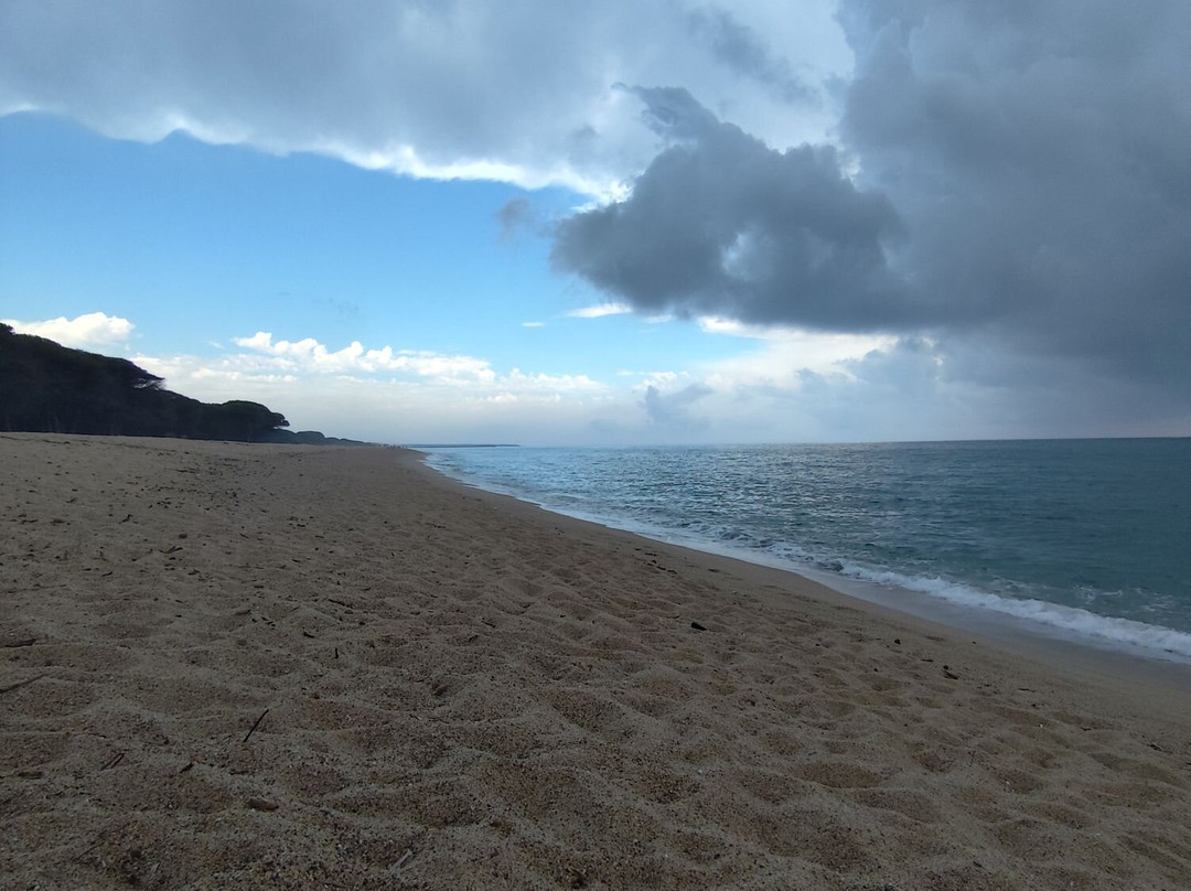 Spiaggia di Su Barone-奥罗塞必去景点