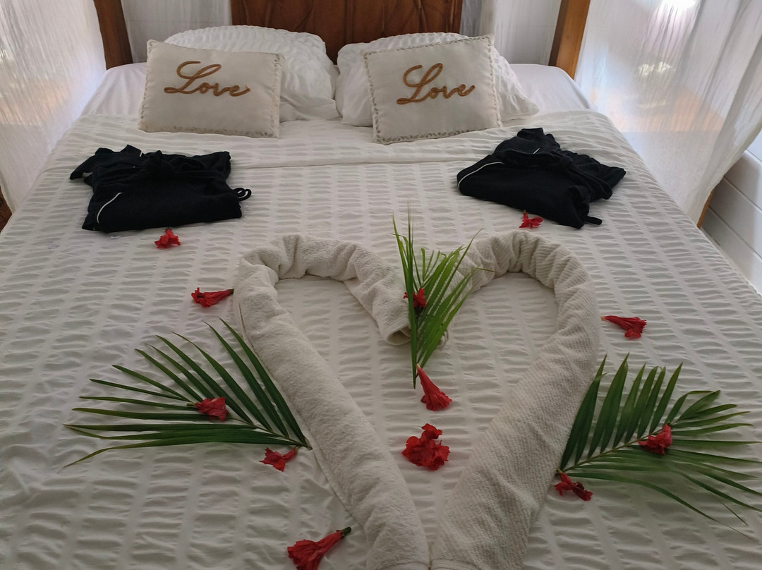 伊甸天堂 Spa 生态环保郊外小屋旅馆主图