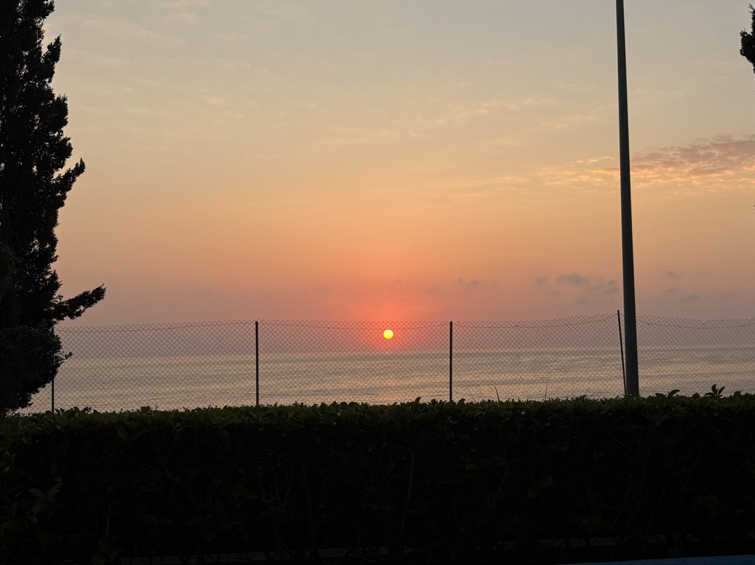 Mare Paphos主图