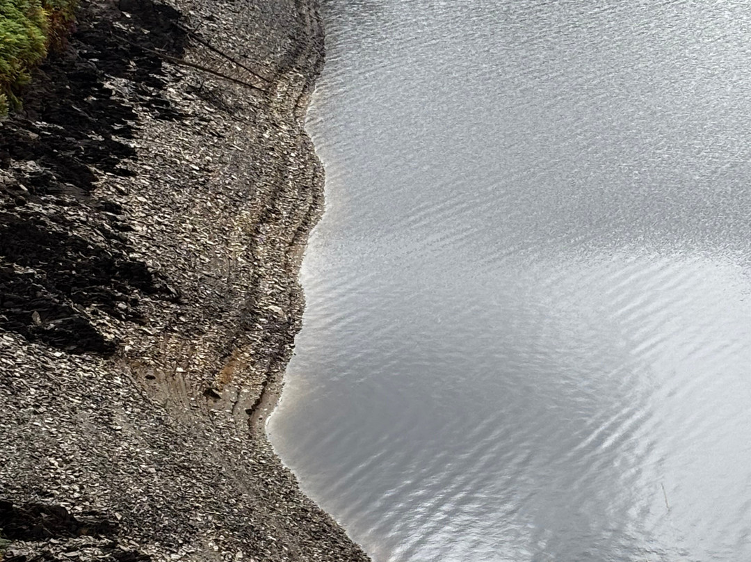 Llyn Brianne Dam and Reservoir-Nantgaredig必去景点